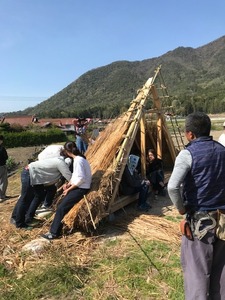 IMG_7529.jpg